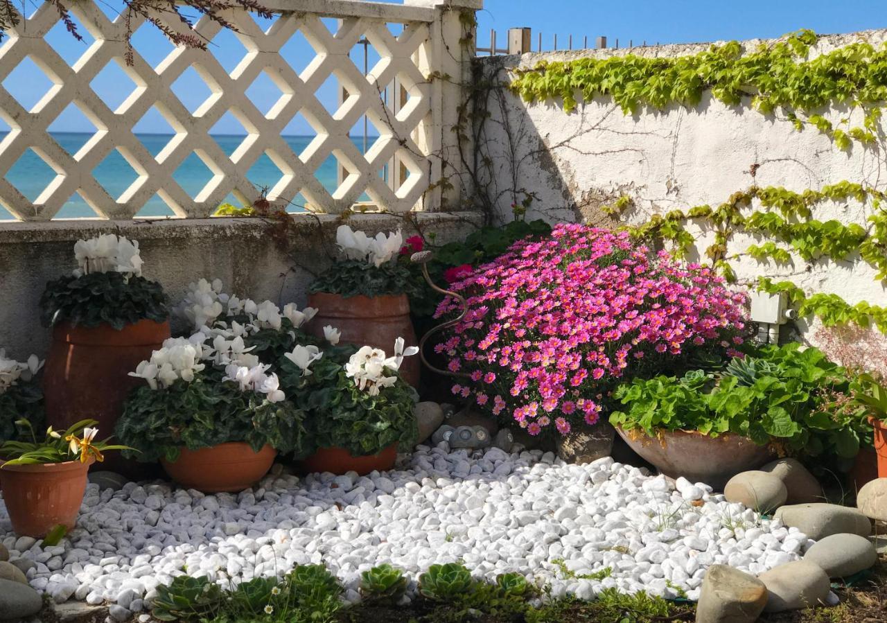 Il Giardino Sul Mare B&B Riva Ligure Zewnętrze zdjęcie